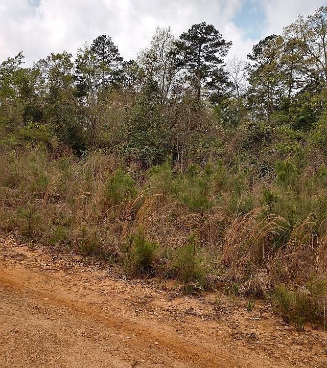 Ouachita 74 Road Yds Of W 154 Of Sw 1/4 SE E77, Chidester, AR 71726 Zillow