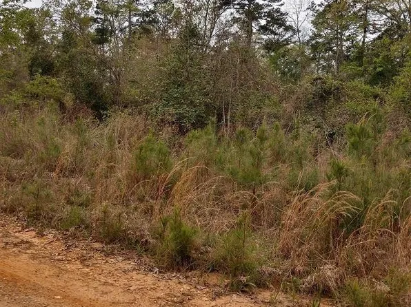 Ouachita 74 Rd, Chidester, AR 71726
