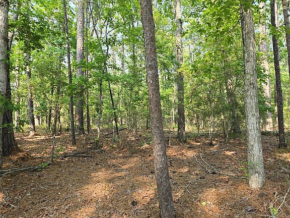 2nd image of 395 Deergrass Dr