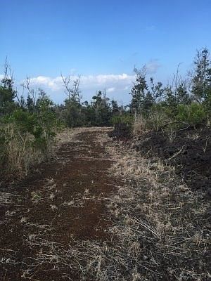 2nd image of Ginger Blossom Ln Lot 21A