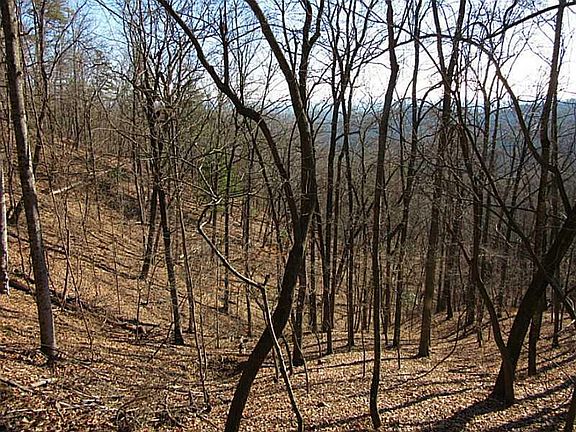 3rd image of 1264 Grouse Gap Dr