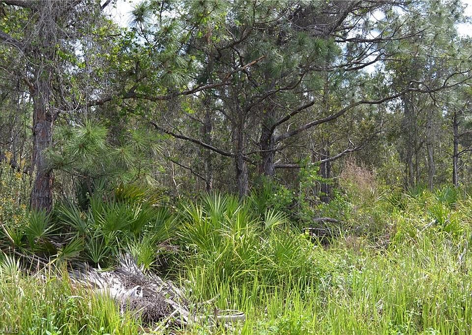 2nd image of 13680 Ficus Tree Ln