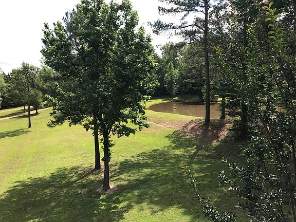 Front yard/pond