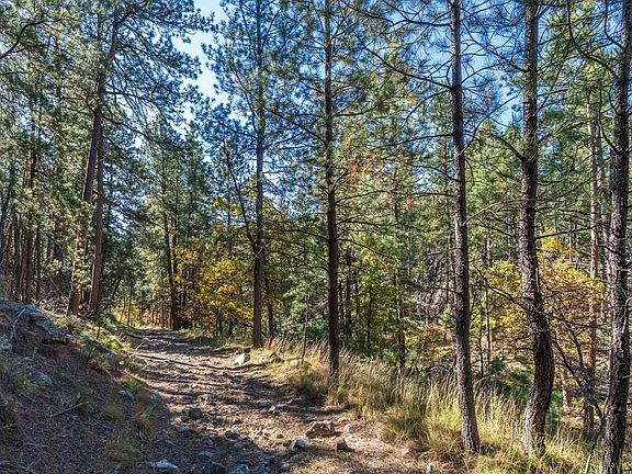 5th image of 4 Old Hill City City Rd