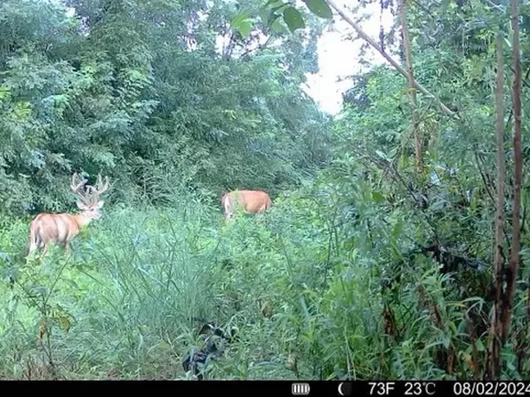 TRACT Three #175, Bremen, KY 42325