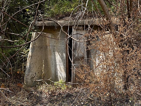 4th image of 119 Rodger Carroll Rd