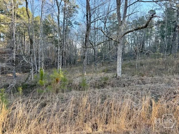 0 River Ridge Trail #396, Sparta, GA 31087