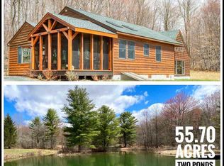 1260 W Peakes Brook Rd, Delhi, NY 13753