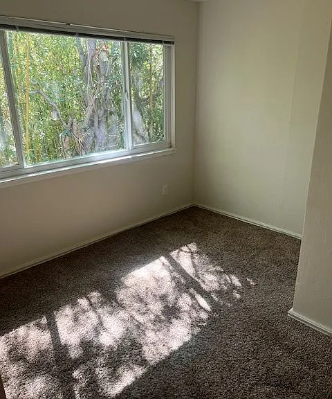 2218 Parker St #D — Photo 15