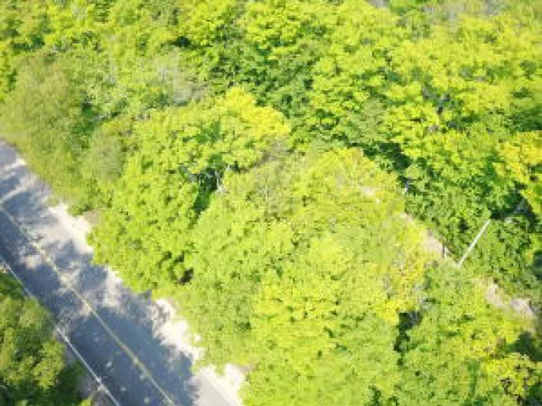 Tbd E South Caribou Lake Rd, De Tour, MI 49725
