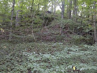 5th image of Tract 2 Bennetts Lane