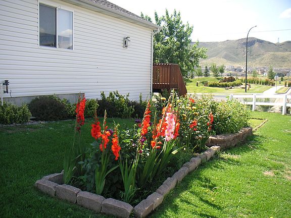 Spring flowers on the West side of this corner lot property.