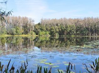 17316 Ballmont Park Dr, Odessa, FL 33556