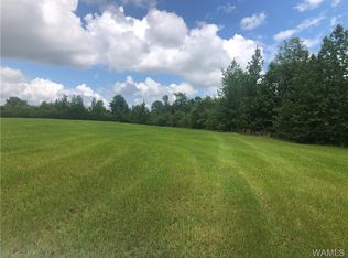 0 Jim Dill Rd, Ethelsville, AL 35461