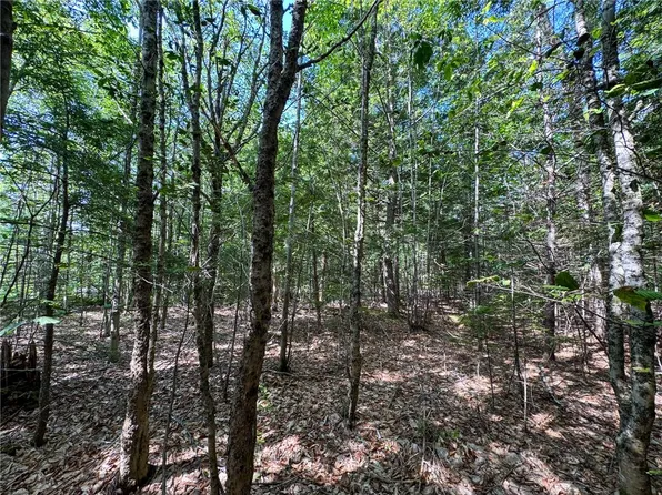 511 N Shore Dr, Albrightsville, PA 18210