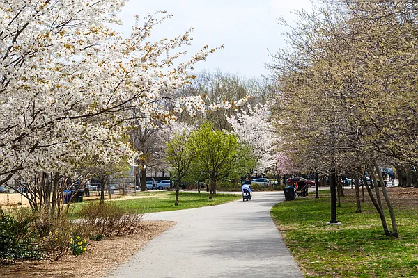 Rented by MNS | media 9