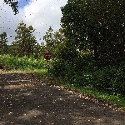 5th image of 11-1418 Anthurium St Lot 8135