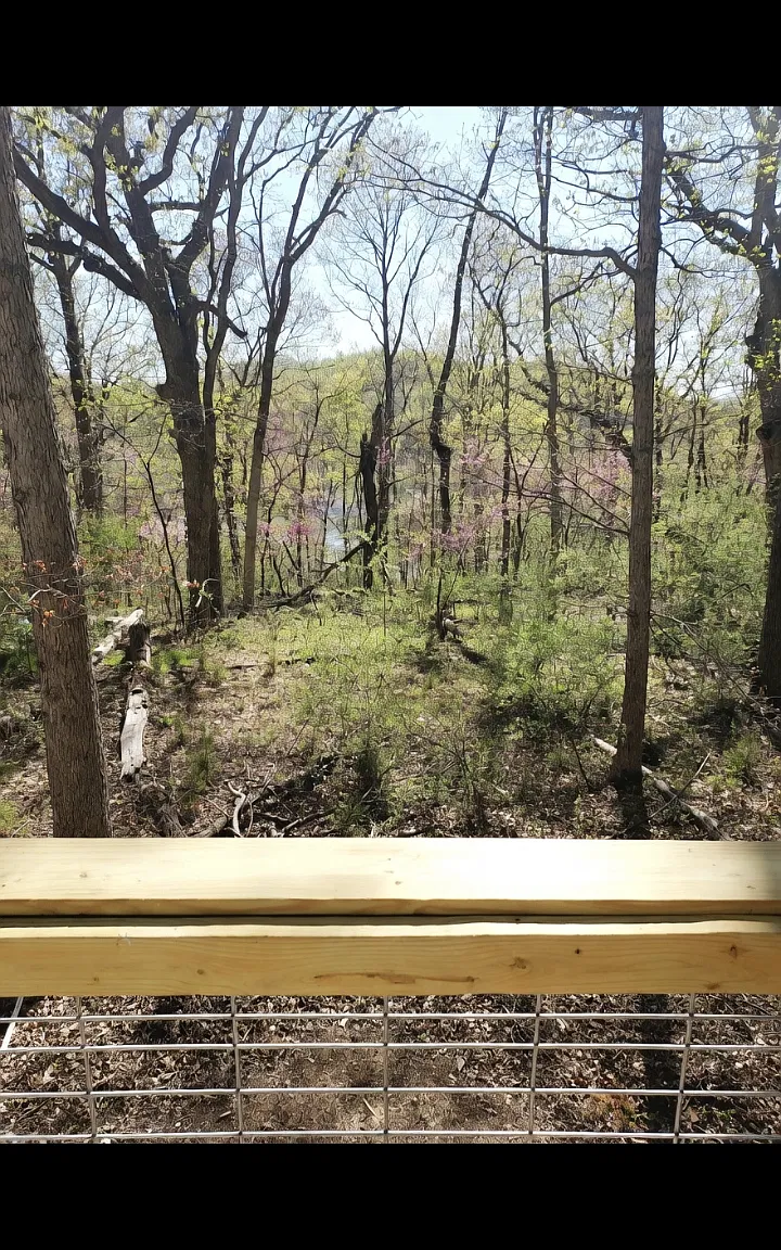 156 Bluff Ln — Photo 2