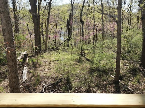 2nd image of 156 Bluff Ln