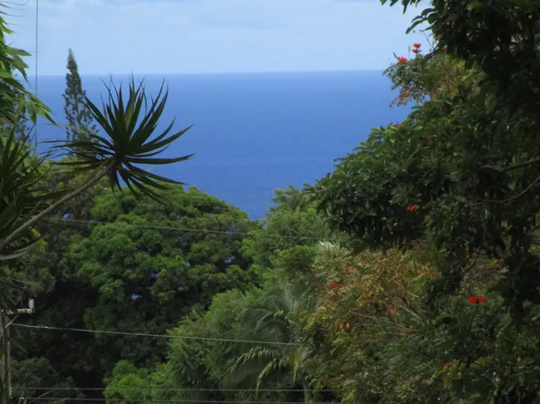 Puualaea Homestead Road A Lot 9-A-1, Laupahoehoe, HI 96764