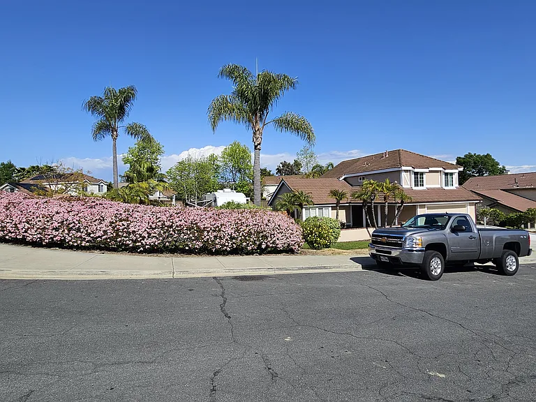 Mimosa Dr — Photo 40