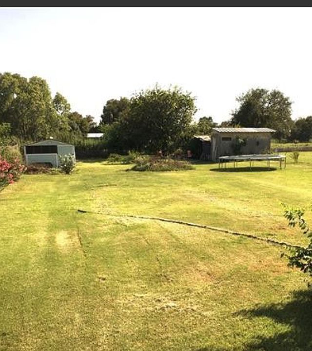 Back yard
