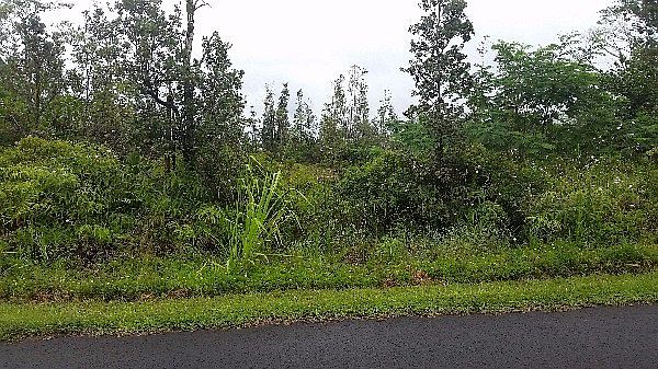 1st image of 15-1845 28th Ave Lot 689