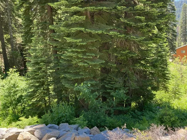 230 Norton Meadows Rd, Bucks Lake, CA 95971