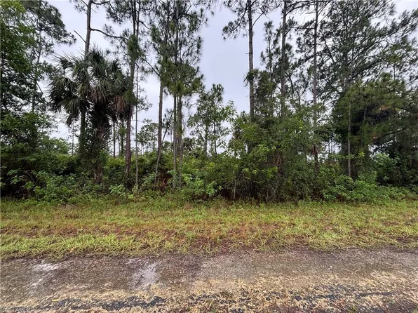 1602 Loraine AVE S, LEHIGH ACRES, FL 33976