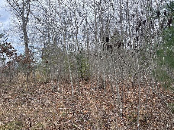 2nd image of 56 & 58 Paw Paw Trl