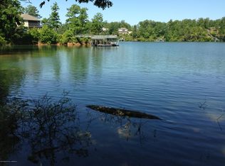 1 Brushy Ln, Arley, AL 35541