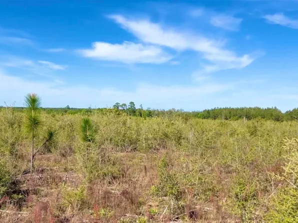 58 Timber Run Ln, Jay, FL 32565