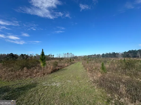 1334 Shady Ln, Sylvania, GA 30467