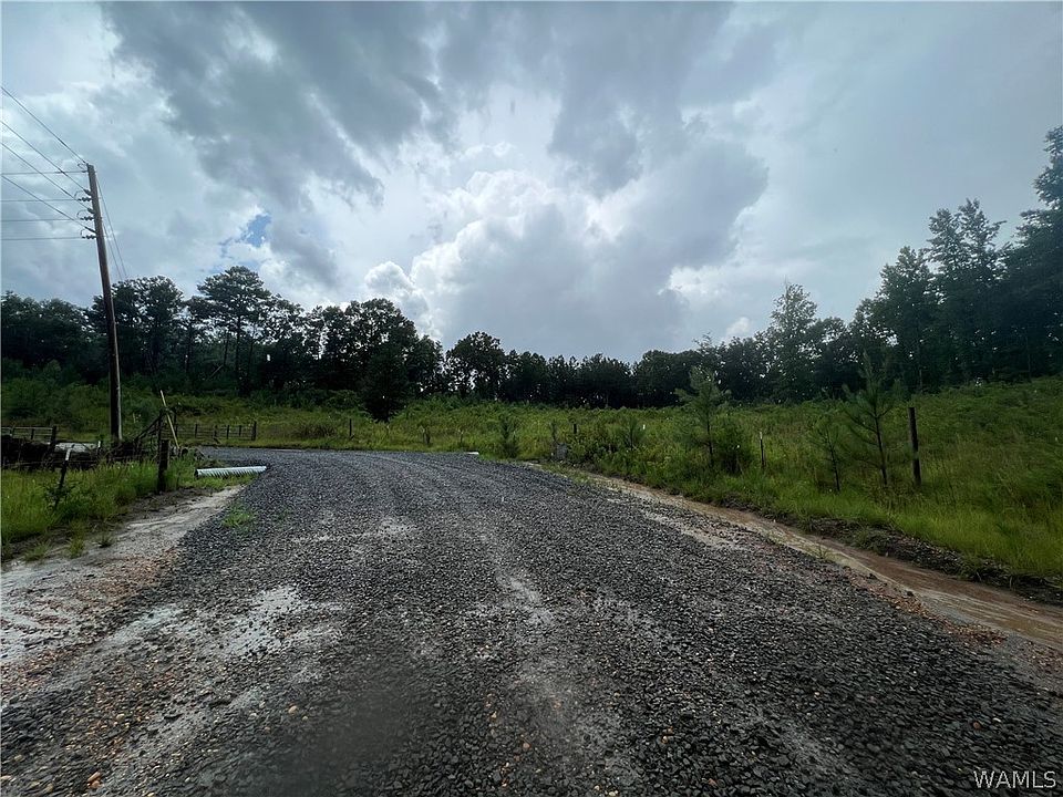 15600 Lock 17 Rd, Brookwood, AL 35444 MLS 151726 Zillow