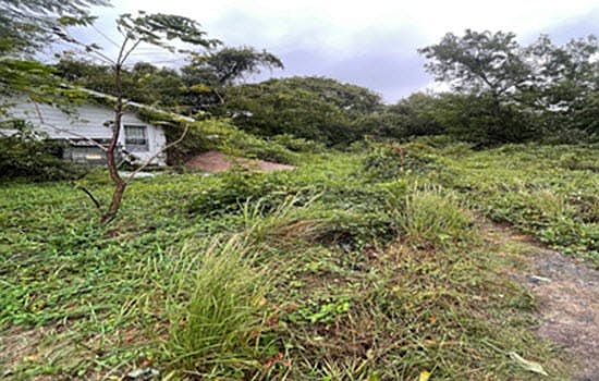 2nd image of 12805 Rosedale Cannery Rd