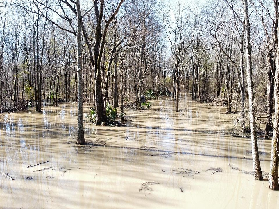 S Abraham Rd, Silver City, MS 39166 Zillow