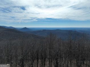 256 Blood Root Trl, Ellijay, GA 30536