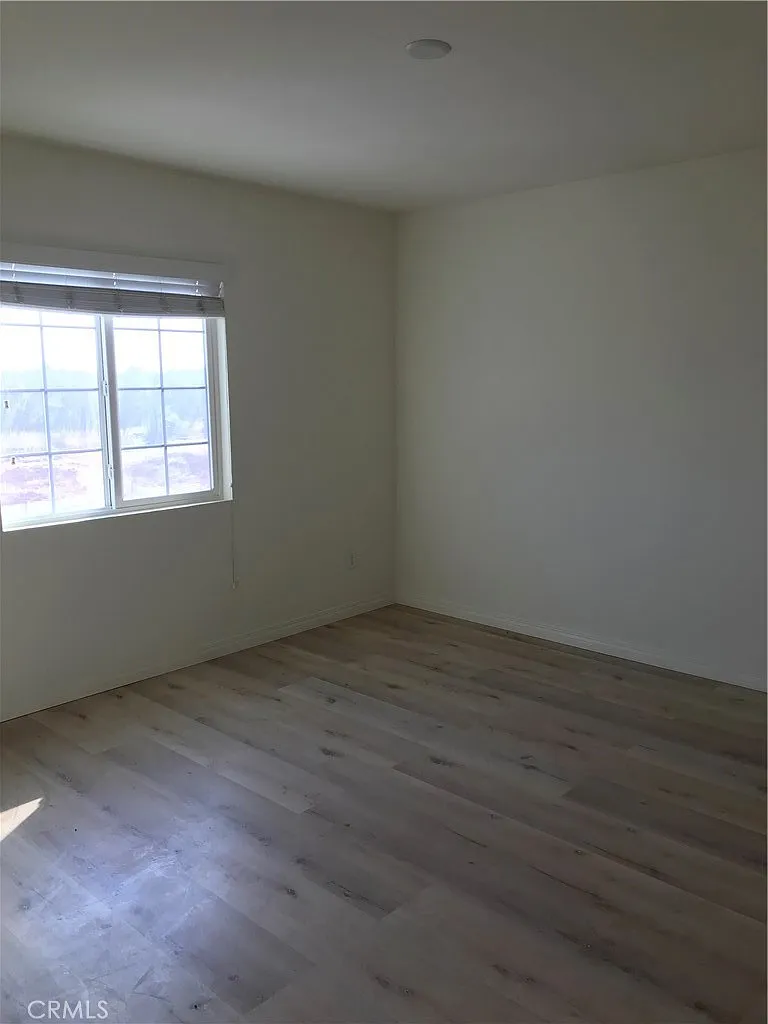 1 bed, 256 sqft, $950 — Photo 3