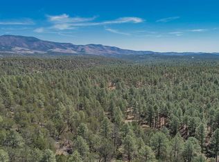 12 Settlers Ln, Timberon, NM 88350