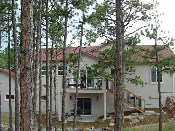 TREES AND PRIVACY IN LEVEL BACK YARD