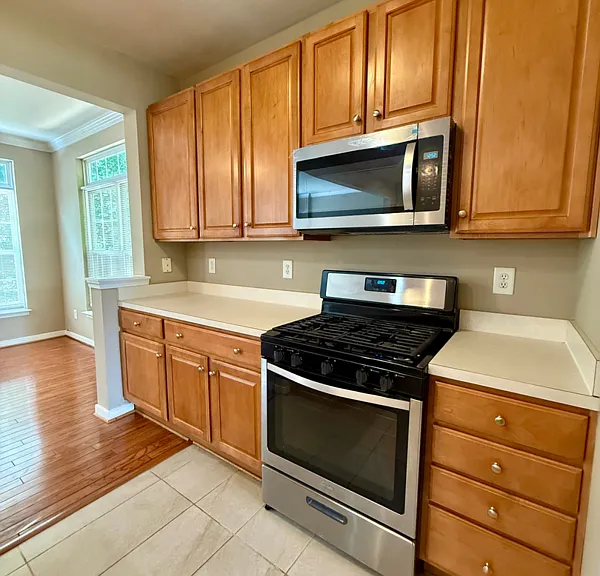 1529 Olde Sage Ct — Photo 15