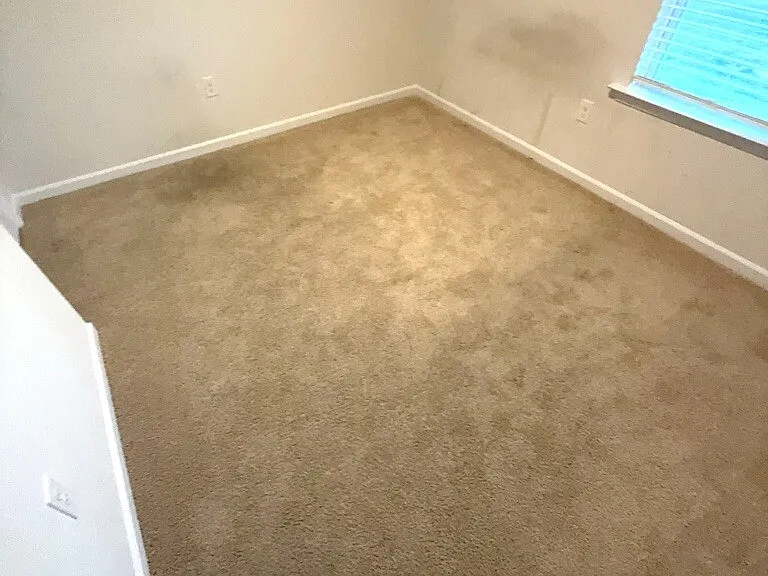 5516 Musket Ct — Photo 10