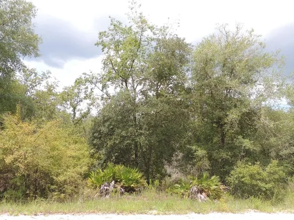 NE 137th Ct Lot 23, Williston, FL 32696