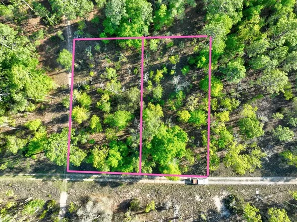 0 NE 16th Pl #5, Williston, FL 32696