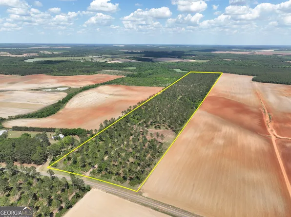 0 Poplar Springs Rd, Byromville, GA 31007