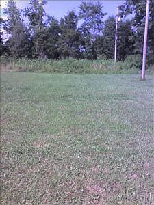 4th image of 822 Lynnwood Way