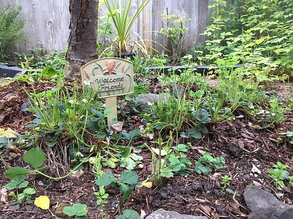 Garden space galore.