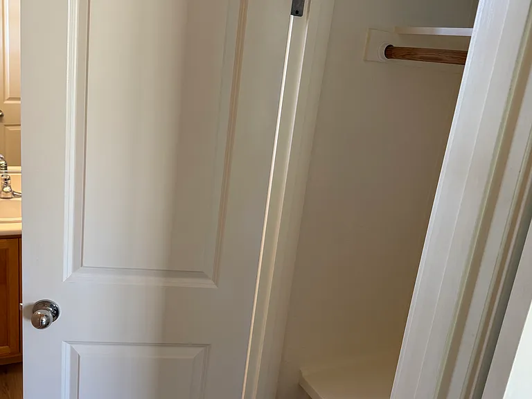 Bathroom closet