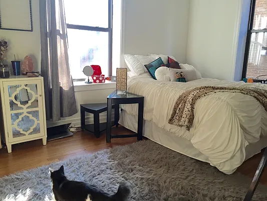 Rented by MNS | media 20