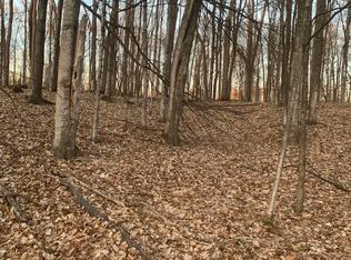 Lots 235/236 Alm Ct, Bellaire, MI 49615